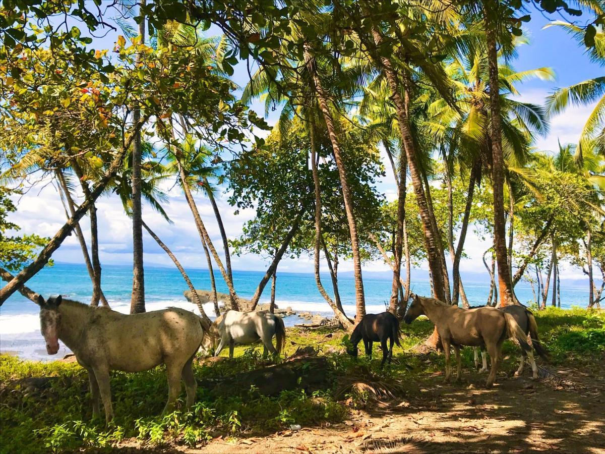 Brahman Bungalows On Pavones Point Exteriér fotografie