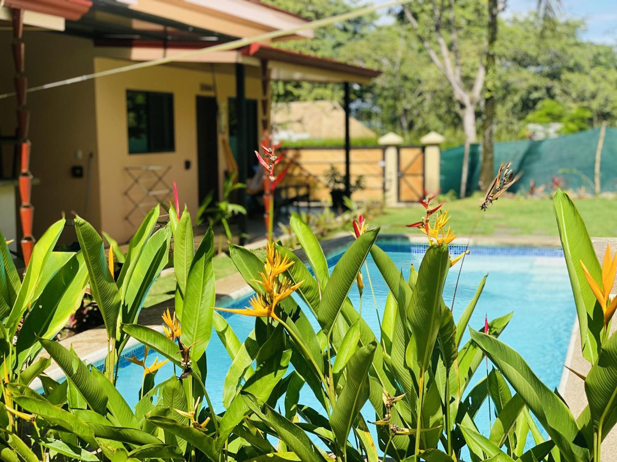 Brahman Bungalows On Pavones Point Pokoj fotografie
